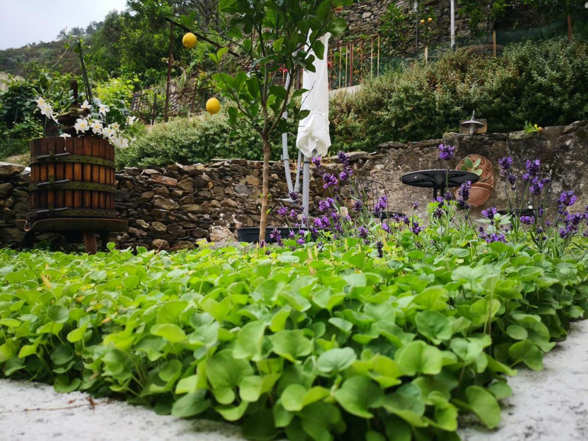 il giardino di Riomaggiore Esterno foto